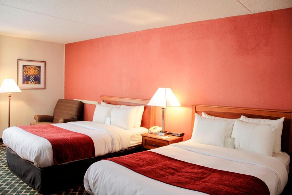 Comfort Inn & Suites Airport Syracuse Room photo