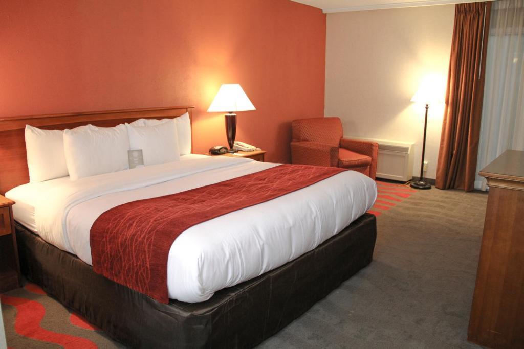 Comfort Inn & Suites Airport Syracuse Room photo